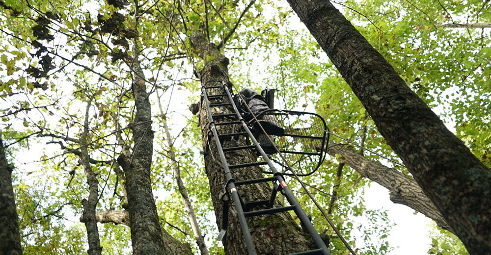 how to keep safe on a treestand