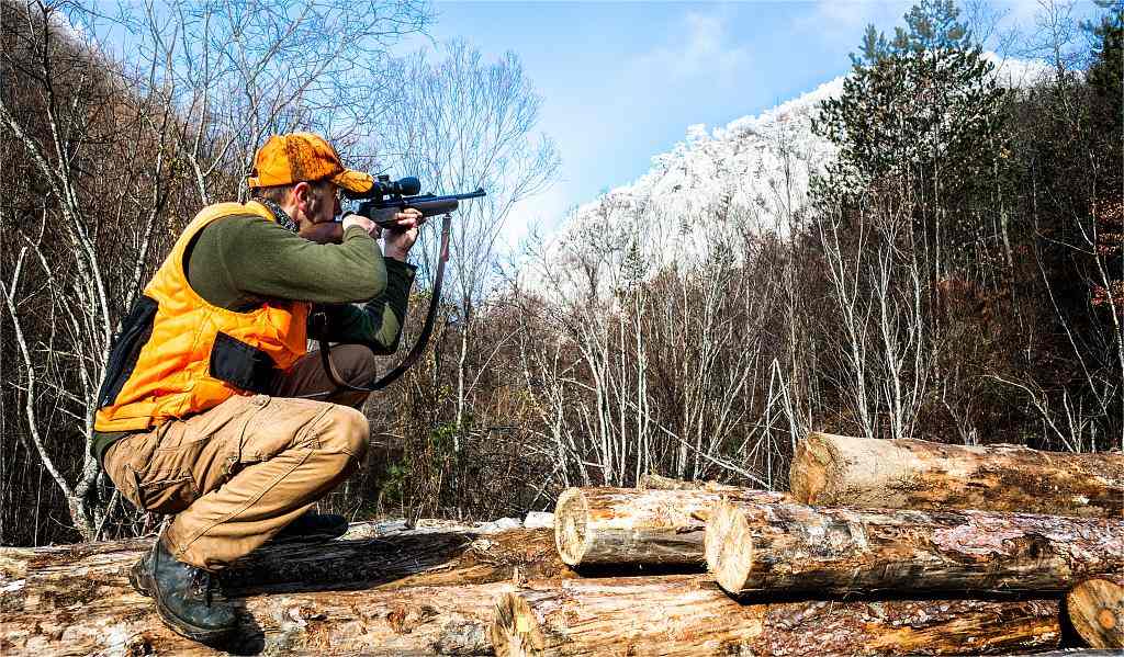 Alaska Hunting Seasons 2024 Dates And Regulations Kalkal