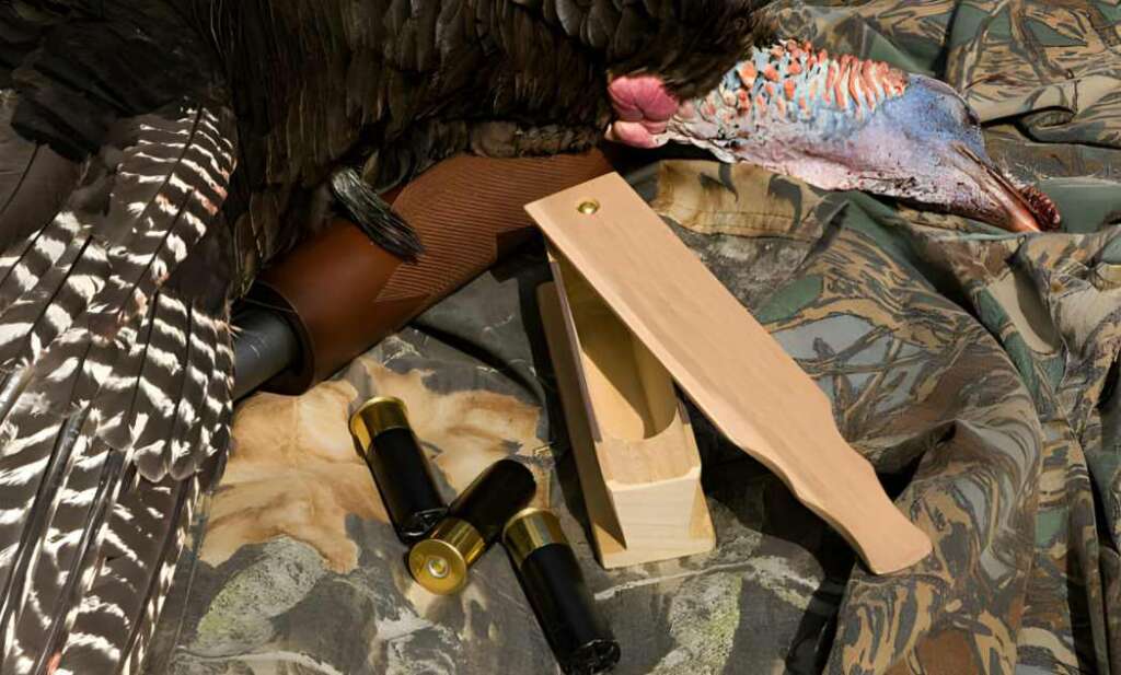 best turkey box call options