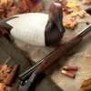 duck decoy for hunting