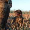 a hunter with a poodle dog