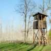 ground blind vs tree stand