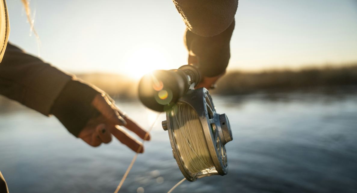 palomino trout fishing