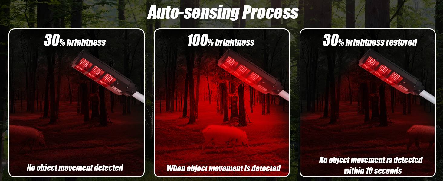 auto-detective hunting lights