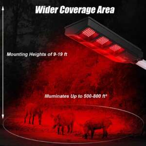 red light for hog hunting