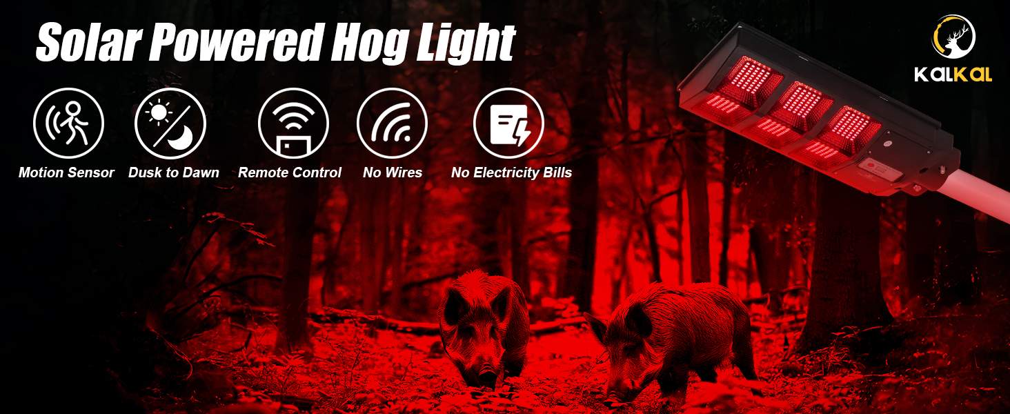 red lights for hog hunting