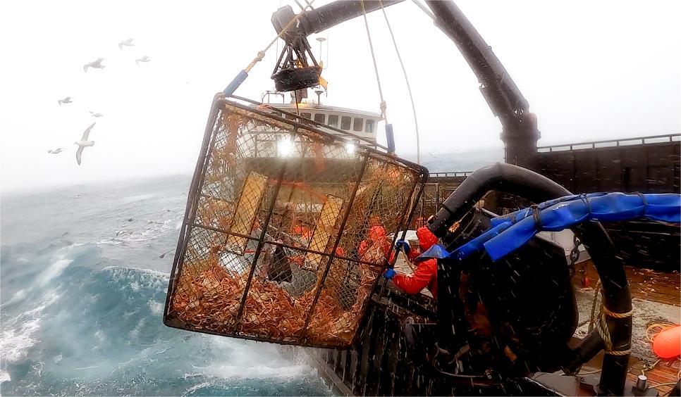 Crab Fishing Episodes of Deadliest Catch