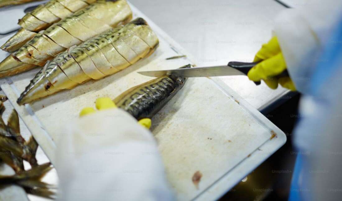 cut fish with a fillet knife