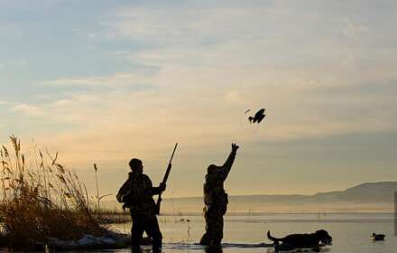 2024 US Hunting Season Schedules For 50 States