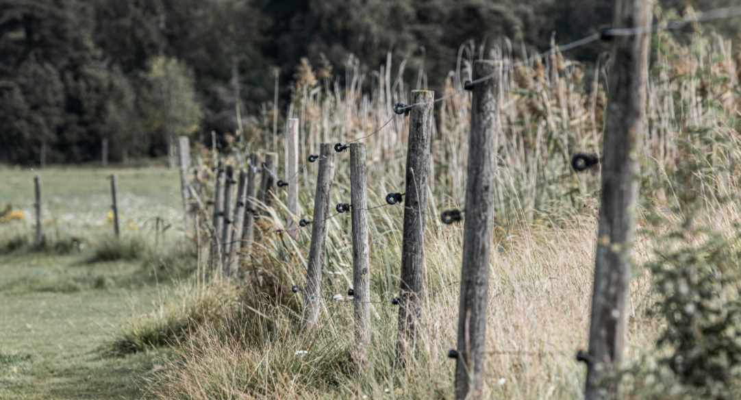 a hunting area with high fence