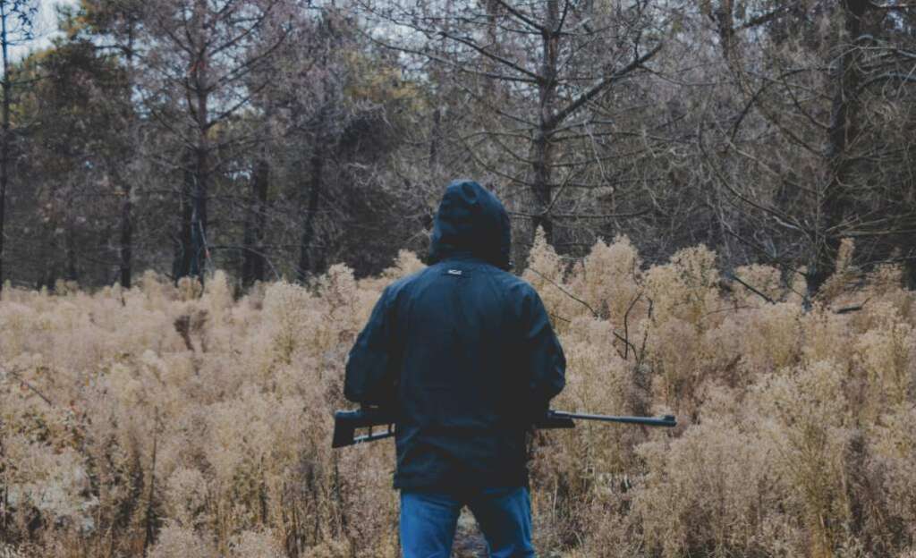 hunting in Connecticut woods