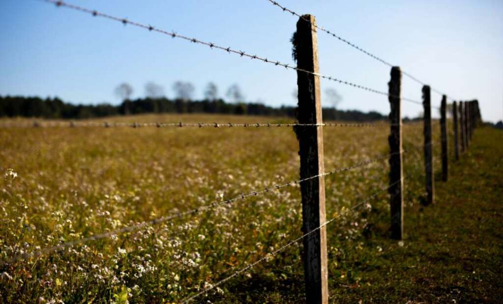 hunting in high fence area