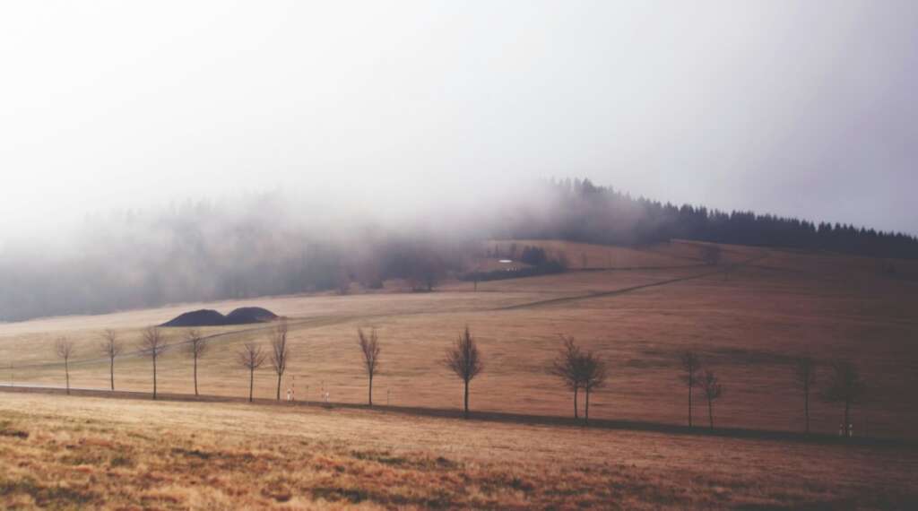 hunting on private land