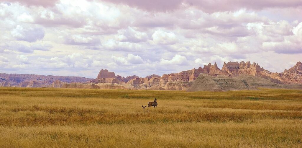 North Dakota wild lands