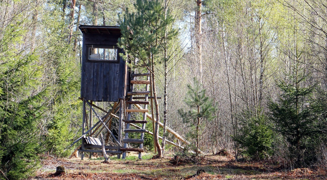 a hunting tree stand in Utah