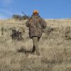 hunting show - a hunter in the wildness