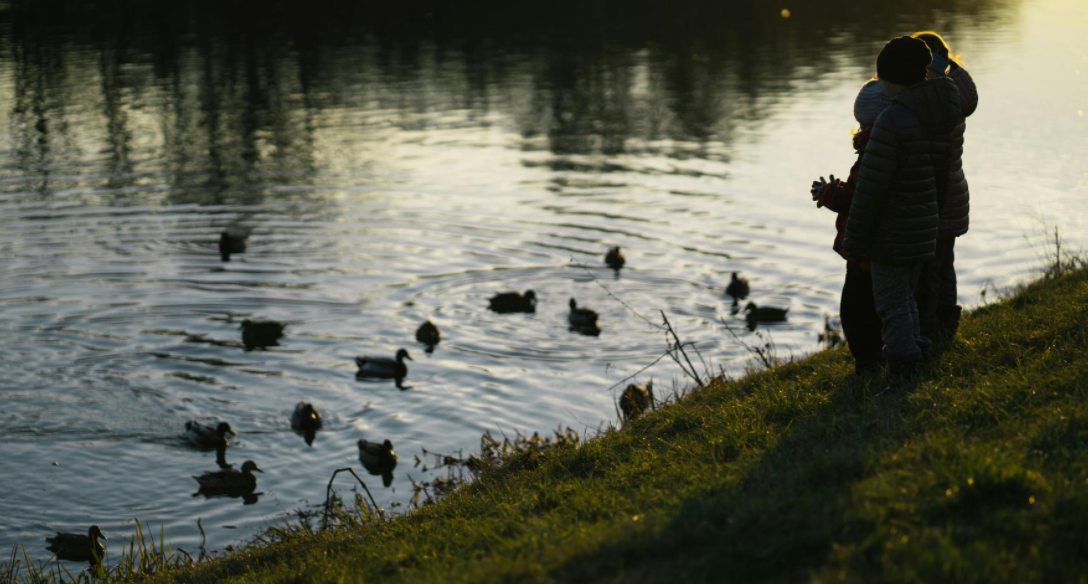 children is hunting waterfowl in the lake