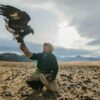 Falconry hunting - a Falconor with his bird