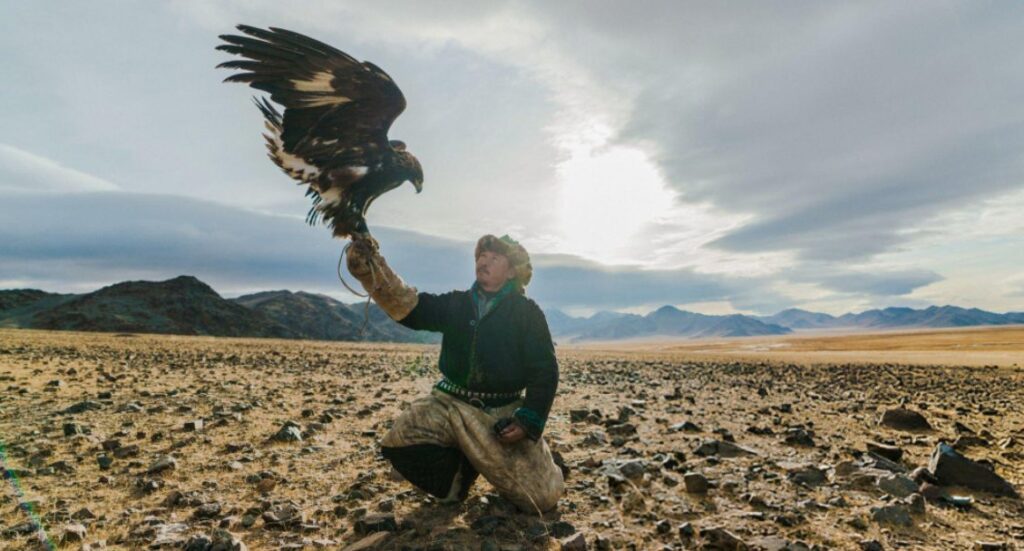 Falconry hunting - a Falconor with his bird