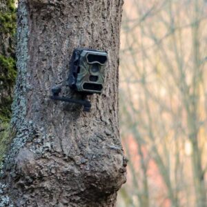 a trail camera is setting up on the tree