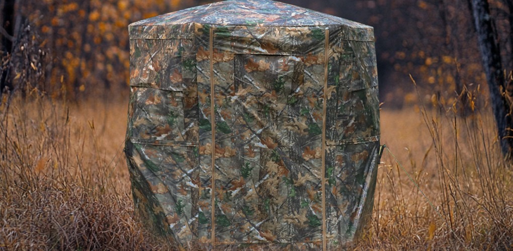 can deer smell you in a ground blind