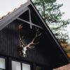 a house decoration of deer skull mount