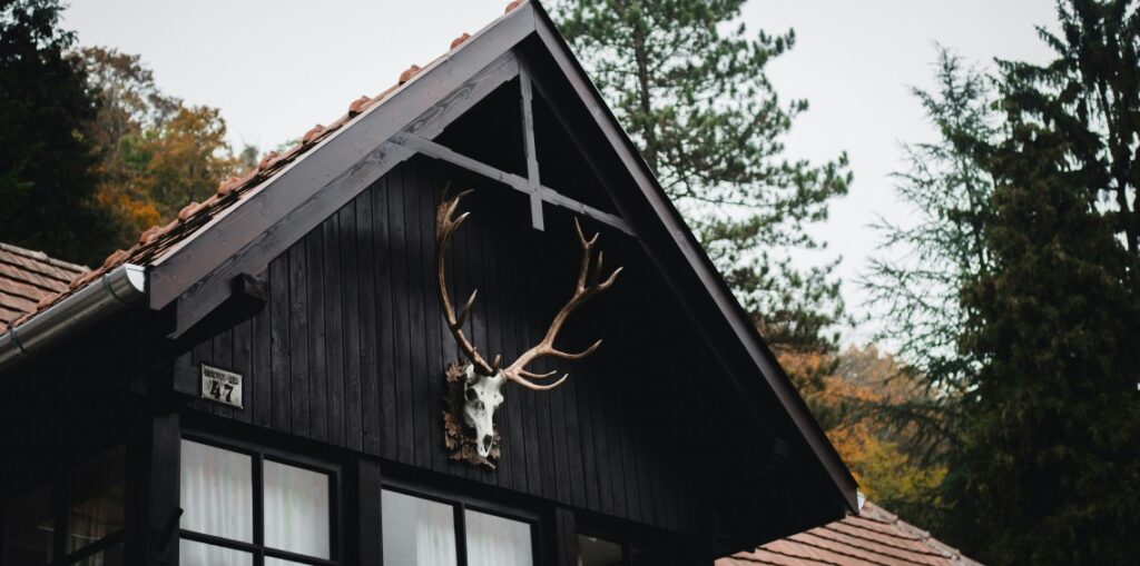 a house decoration of deer skull mount