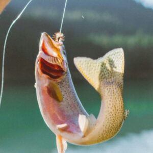 go fishing in Idaho fishing season