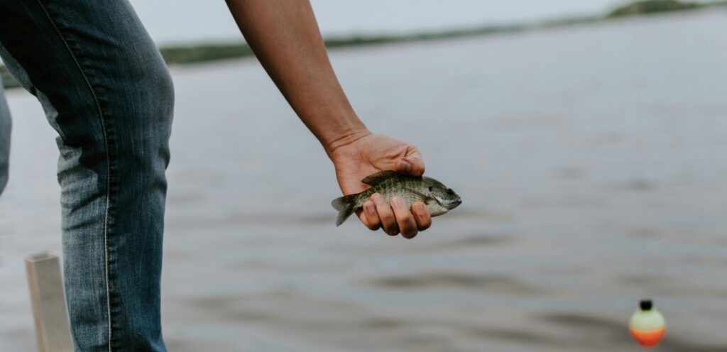 catch and release fishing