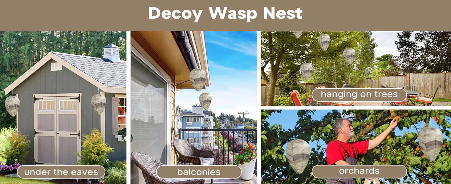 paper wasp nest for sale